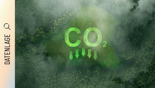 Symbolbild für Reduktion von Kohlenstoffdioxid Luftaufnahme eines dichten, grünen Waldes. Darüber ist das Symbol „CO2" mit nach unten zeigenden Pfeilen eingeblendet, die die Reduktion von Kohlenstoffdioxid symbolisieren.