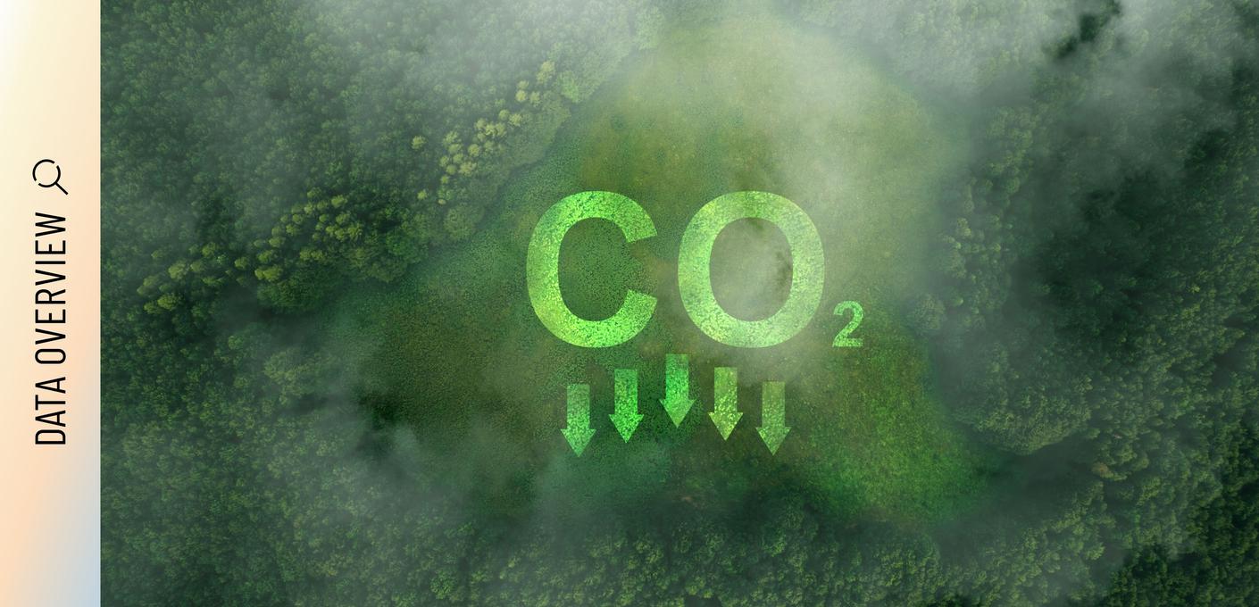 Luftaufnahme eines dichten, grünen Waldes. Darüber ist das Symbol „CO2" mit nach unten zeigenden Pfeilen eingeblendet, die die Reduktion von Kohlenstoffdioxid symbolisieren.